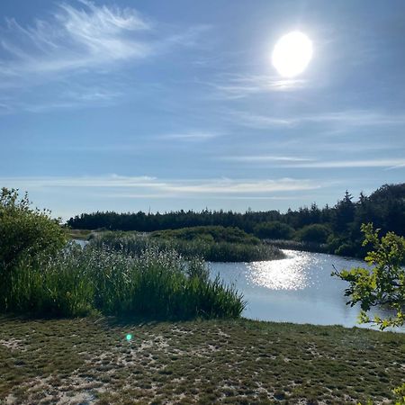 Zijperweg Vakantiehuis Petten Dış mekan fotoğraf