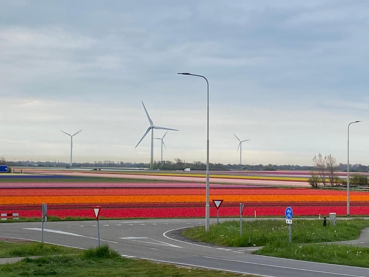 Zijperweg Vakantiehuis Petten Dış mekan fotoğraf