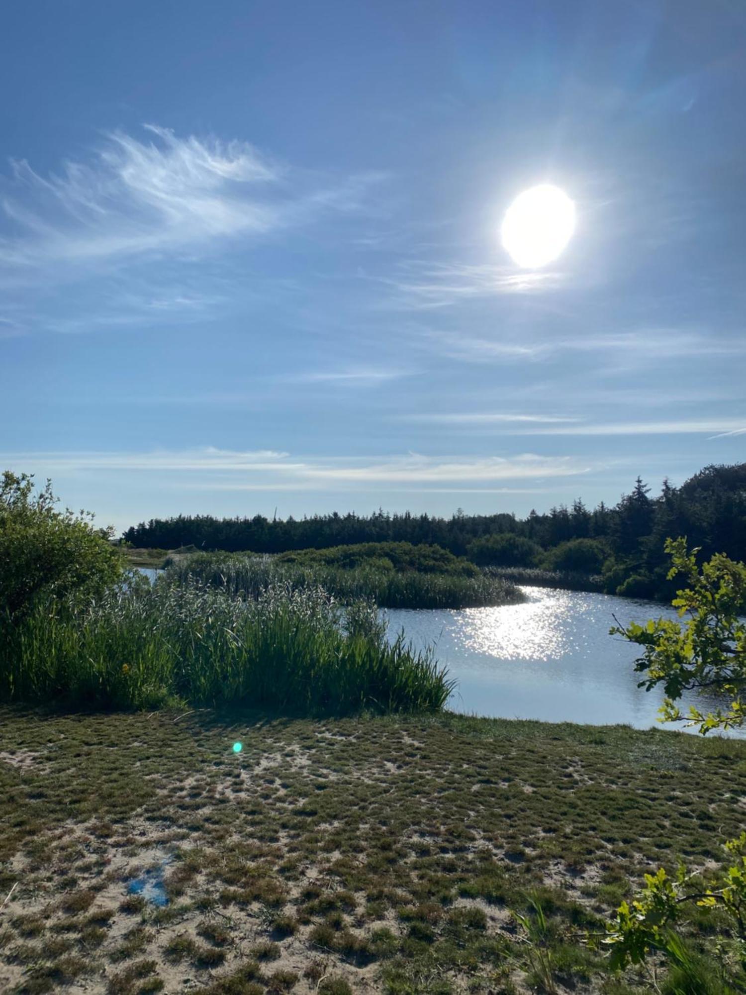 Zijperweg Vakantiehuis Petten Dış mekan fotoğraf